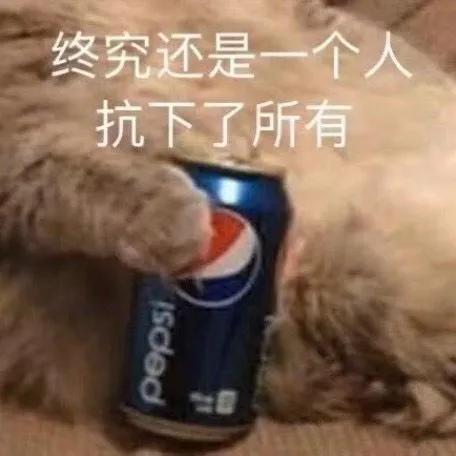 猫咪 终究还是一人扛下所有